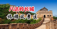 骚逼女人被插的免费网站中国北京-八达岭长城旅游风景区