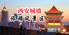 亚洲女人被黑吊进入美女体内中国陕西-西安城墙旅游风景区